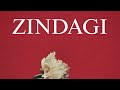 Zindagi  arsal awais ft ammaz ali  prod by irxhad  official audio