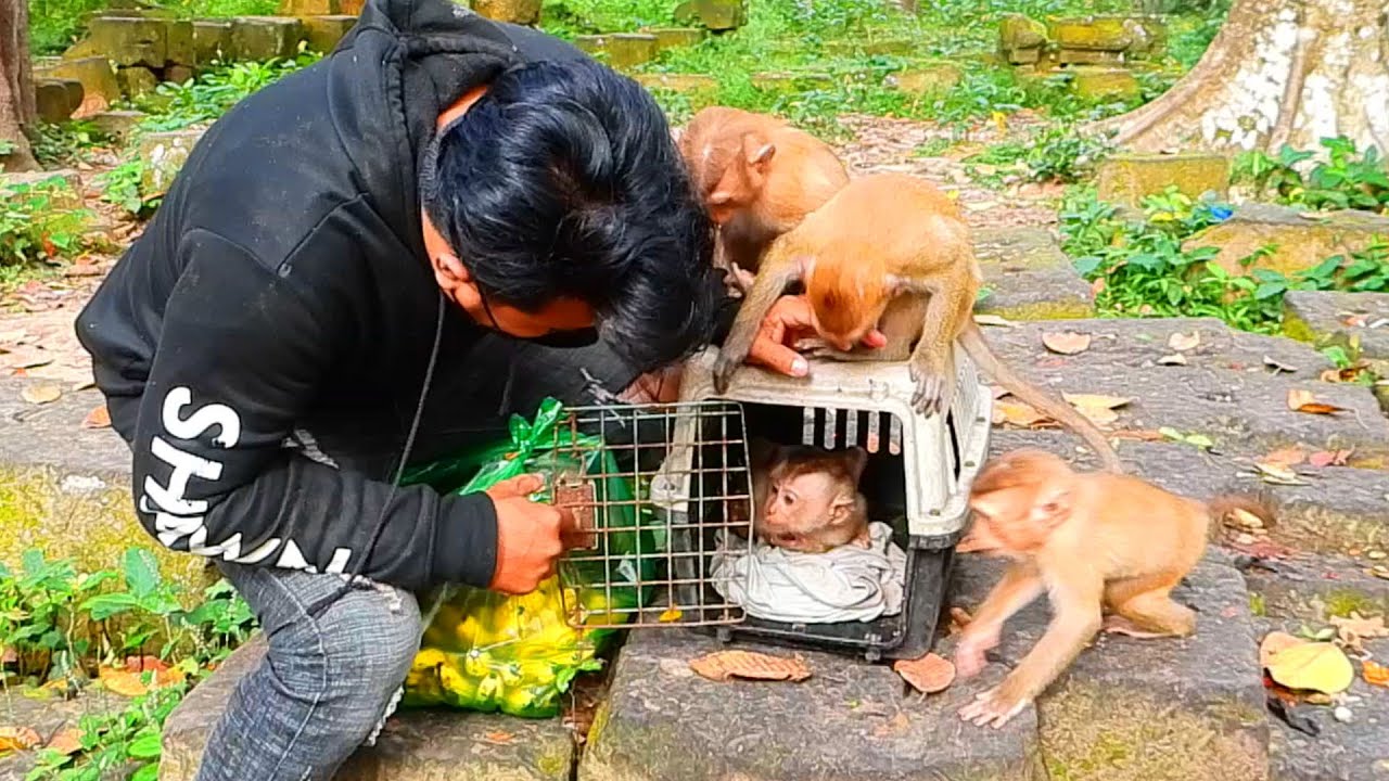 Let say to hi to Gina sorry Gina this morning Liza is angry this video my team feed all kids well