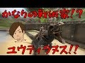 【ARK】実はかなりの戦術家！？羽を持つ狂獣ユウティラヌス！！♯70【ARK Survival Evolved】