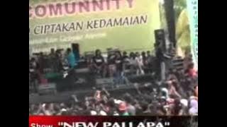Cinta suci Lusiana NEW PALAPA