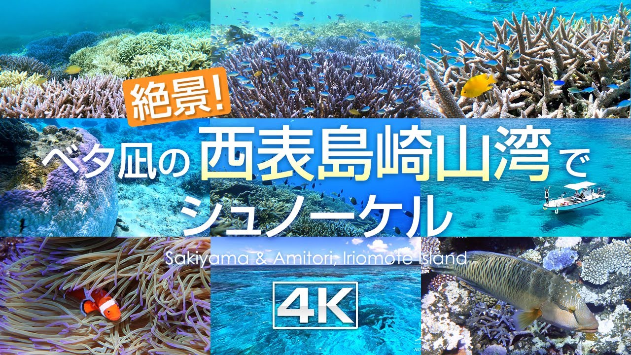 絶景！ベタ凪の西表島崎山湾でシュノーケル 4K