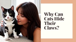 Why do cats have retractable claws?The Secret Behind Cats' Amazing Retractable Claws Revealed!