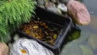 Скиммер для очистки поверхности воды Oase BioSyS Skimmer