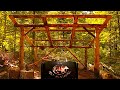 Bushcraft Super Shelter Style Wood Shed | Deer Meat for Dinner BBQ