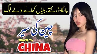 Travel to China | Story of China in Urdu & Hindi by your Professor