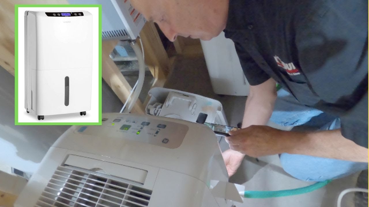 Why Your Basement NEEDS A Dehumidifier YouTube