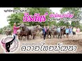 ของดีหาดูยาก ตอนที่ 3 ธีรภัทร์ ฟาร์มควายไทย กำแพงเพชร