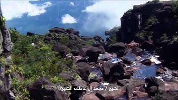 قراءة ندية للشيخ محمد آل عاطف أواخر سورة القيامة