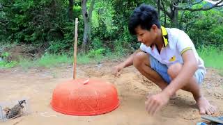 Easy Eagle Trap| Creative Method Eagle Trap Using Plastic Basket That Works 100%