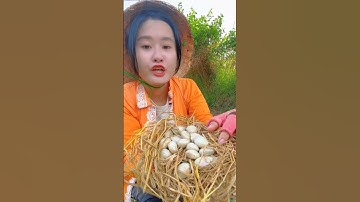 Vô Mánh Ổ Trứng Cút Tại Rừng| Dibi #shorts #dibi