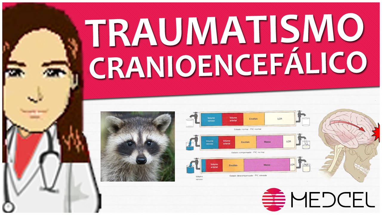 fisiologia patologica Introdução ao Traumatismo Cranioencefálico (TCE) + Sorteio (Medcel)