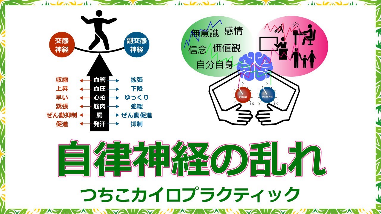 自律神経系統図　カイロプラクティックパネル　美容パネル　収納袋付き カイロプラクティック適応図のイラスト素材 [24040641] - PIXTA