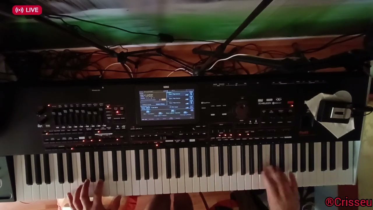 #V579 🪗🎷🚦Trădătorii șarlatani !