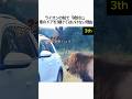 降りたら最後、1秒で瞬殺…サファリパークのリアルな恐怖TOP3