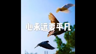 201608 心永远要平凡25410
