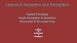 Lecture 3 sensation n perception