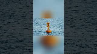 Navies plant invisible ears everywhere to catch submarines #Navy #Military