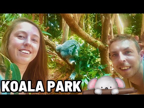 Sydney, Australia | We go to Koala Park, to get up up close with the Animals