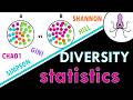 Diversity metrics easily explained: Shannon, Simpson, Gini, Chao1 and Hill numbers!