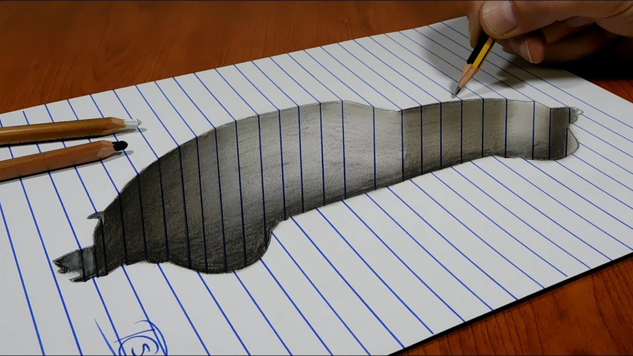 3D Trick Art on Line Paper   Car Hole