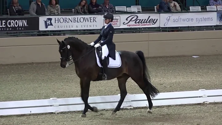 Winslow & Kimberly McGrath - FEI CDI W* Grand Prix...