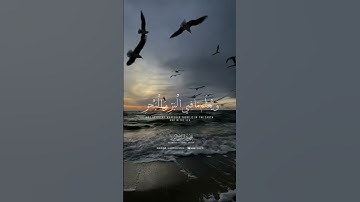 قرآن كريم الشيخ محمود الشحات #ارح_قلبك #قران_كريم #اكسبلور #صلاة #قرآن