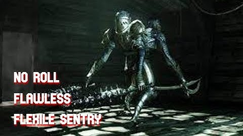 Flexile Sentry - SL1 CoC No Roll/Block/Parry [Flawless] - Dark Souls II
