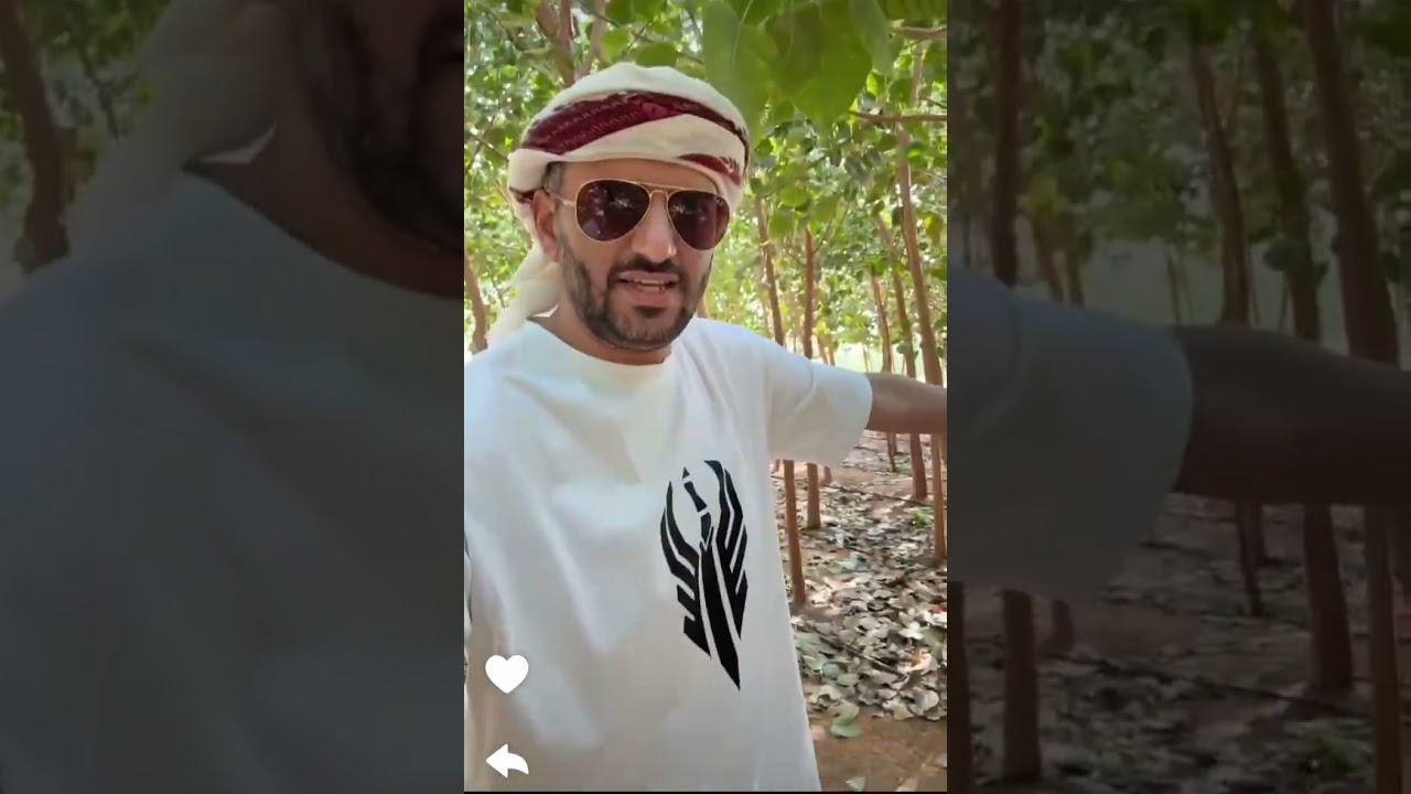 سعود غربي الجزء الثاني ٤ اغسطس.