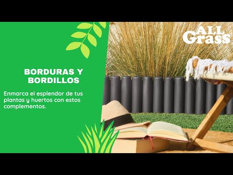 Borduras y Bordillos