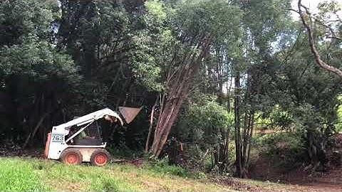 Pushing trees with a Bobcat 763