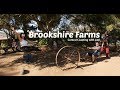 Brookshire Farms | San Luis Obispo