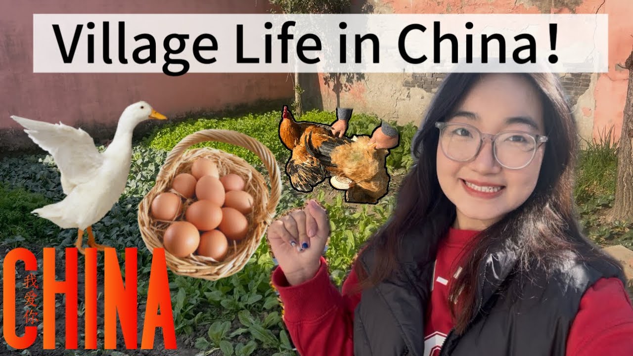 Small village in my hometown 😍Taizhou,Jiangsu province 🇨🇳❤️