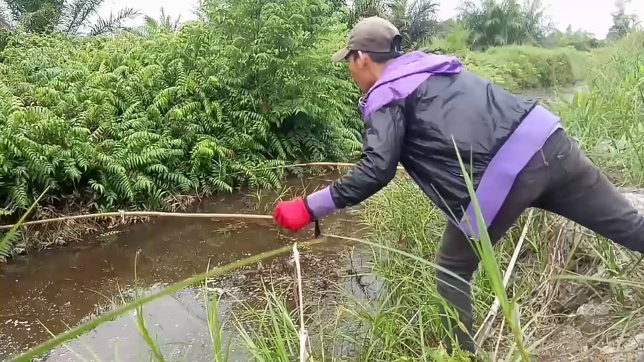 BEGINI CARANYA MENANGKAP IKAN BIAWAN AMPUH