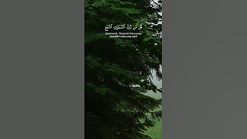 ㅤㅤقل لمن الأرض ومن فيها إن كنتم تعلمون - سورة المؤمنون - ياسر الدوسري#allahuakbar #alhamdulillah