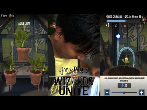 Vídeo: Harry Potter Wizards Unite - Explicación De Invernaderos, Semillas Y Agua: Cómo Cultivar Tus Ingredientes