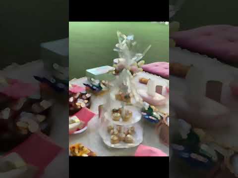فيديو حفلة شاي