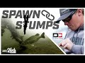 Pitching stumps for big springtime bass with dustin connell