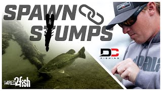 Pitching Stumps for Big Springtime Bass with Dustin Connell screenshot 5