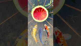 Bushcraft Skill: Easy Fishing Trap 🐠 with Watermelon #survival #campping #lifehacks #fish