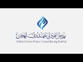 ش3 الشادن لـ حمد علي سلامه الهاجري مهرجان سمو ولي عهد دبي 17 01 2026 كأس الحقايق بكار إنتاج 5 48 3 