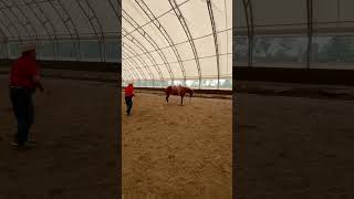 3B21D7Bb 0Bc8 4038 A58E 2588E66A6Ed6