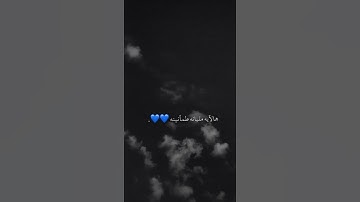 قال لا تخافا انني معكما اسمع وارى - تلاوة جميلة وهادئه - حالات واتساب قران
