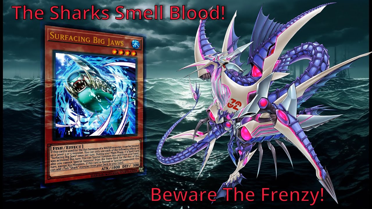 No Toad?! No Problem! | Master Duel Sharks 2025 | Deck Profile and Gameplay