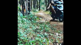 Download Lagu perjalanan ke Jurug mangir desa bogoran kab Trenggalek MP3