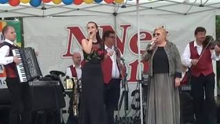 картинка: 24.05.2017 г. орк. Орфей с. Зетьово (НикоНетКом)