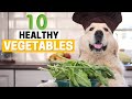 10 Vegetables Safe and Healthy for Golden Retrievers