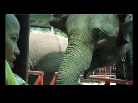 Thailand Travel: Origins