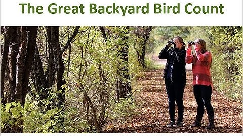 January 2023 - Great Backyard Bird Count