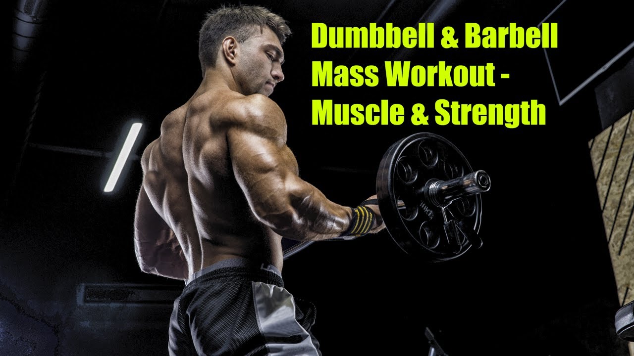 Dumbbell & Barbell Mass Workout Muscle & Strength YouTube