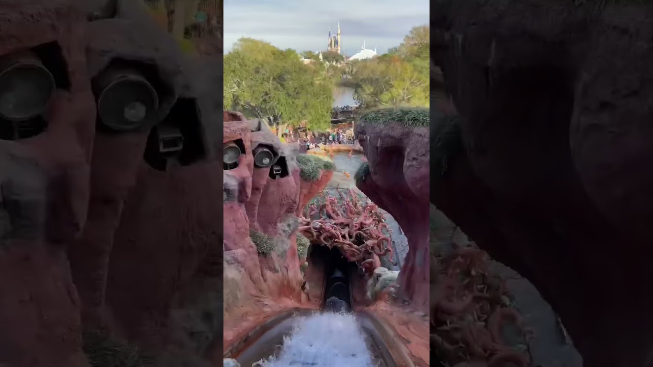 Splash Mountain Closing Forever! 